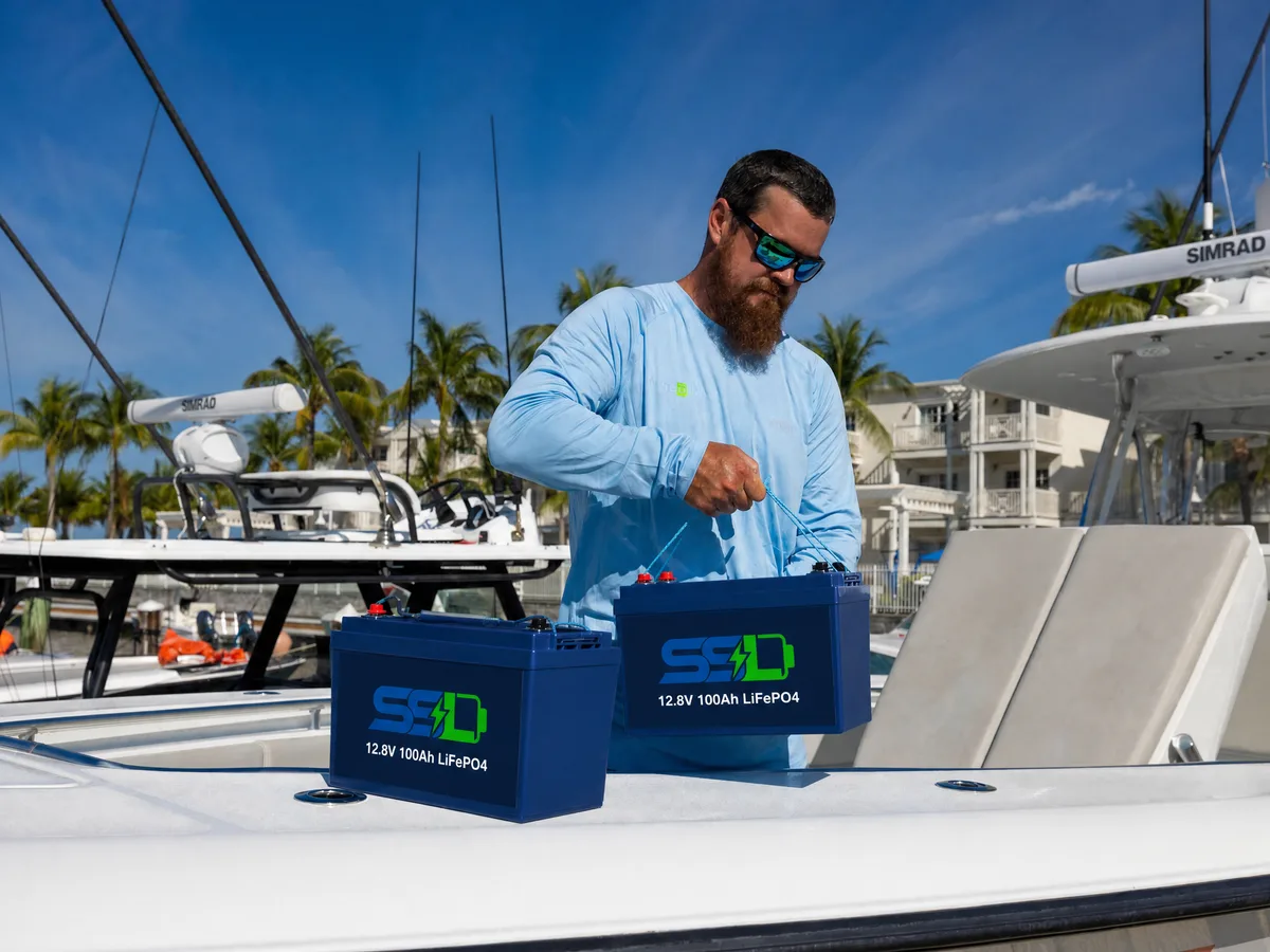 12V LiFePO4 Packs for ESS & Motive Power — application scenario
